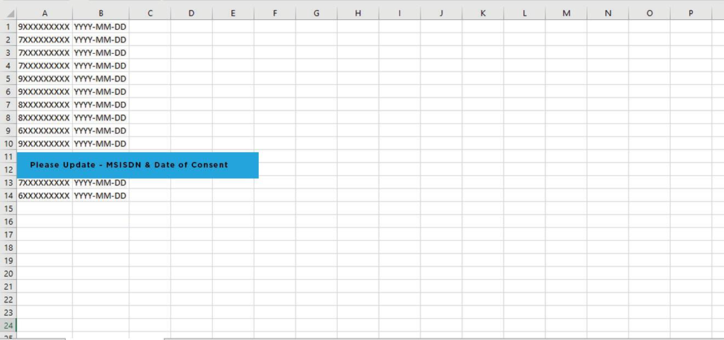 Consent file format